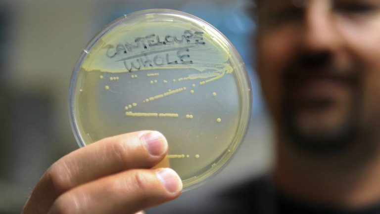 La listeria, el mayor peligro de la cocina, mata a 70 personas al año